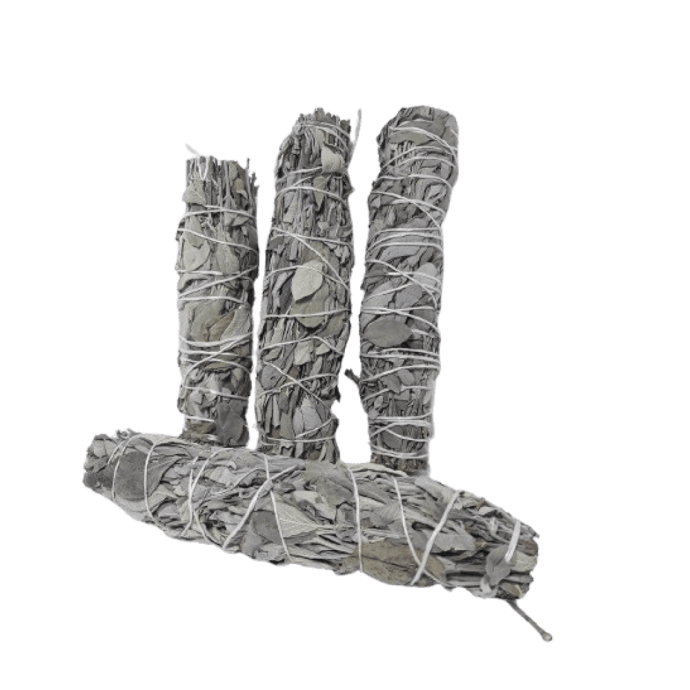 Atado De Salvia En Rama